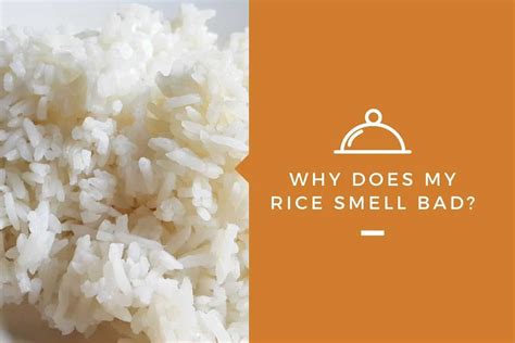 my rice smells weird|How to Tell if Rice Is Bad .